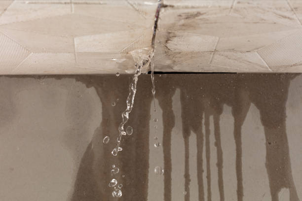 Professional Flood Damage Cleanup technician working in Lagrange, IN